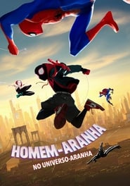 Homem-Aranha: No Aranhaverso